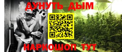 гидра Нарткала