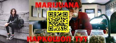 Альфа ПВП Новозыбков