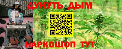 Альфа ПВП Новозыбков