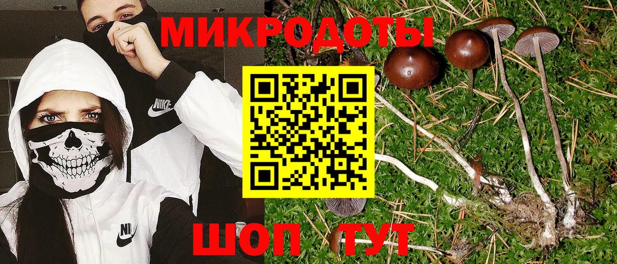 Галлюциногенные грибы мицелий  Вход с VPN  Ржев  Галлюциногенные грибы Cubensis 