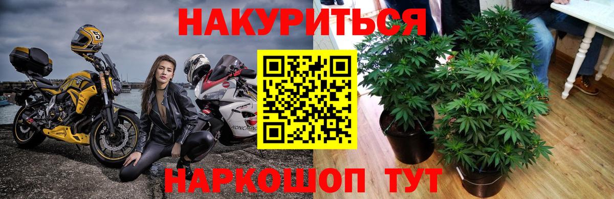 Шишки марихуана SATIVA & INDICA Ржев